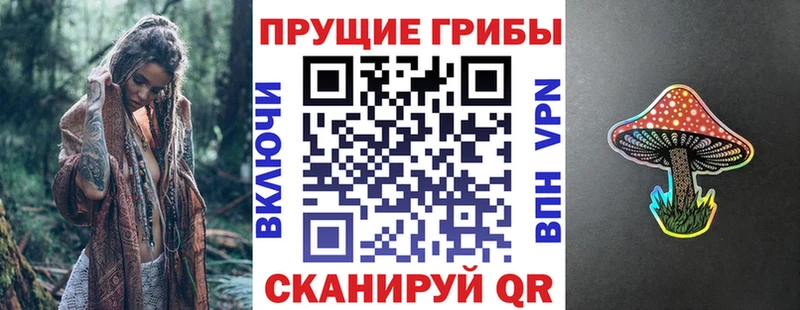 Псилоцибиновые грибы прущие грибы  Купить где  Златоуст 